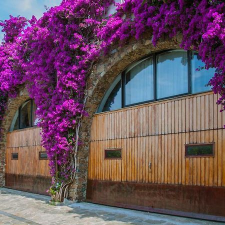 Villa Eliodora - Due Appartamenti Arenzano Bagian luar foto