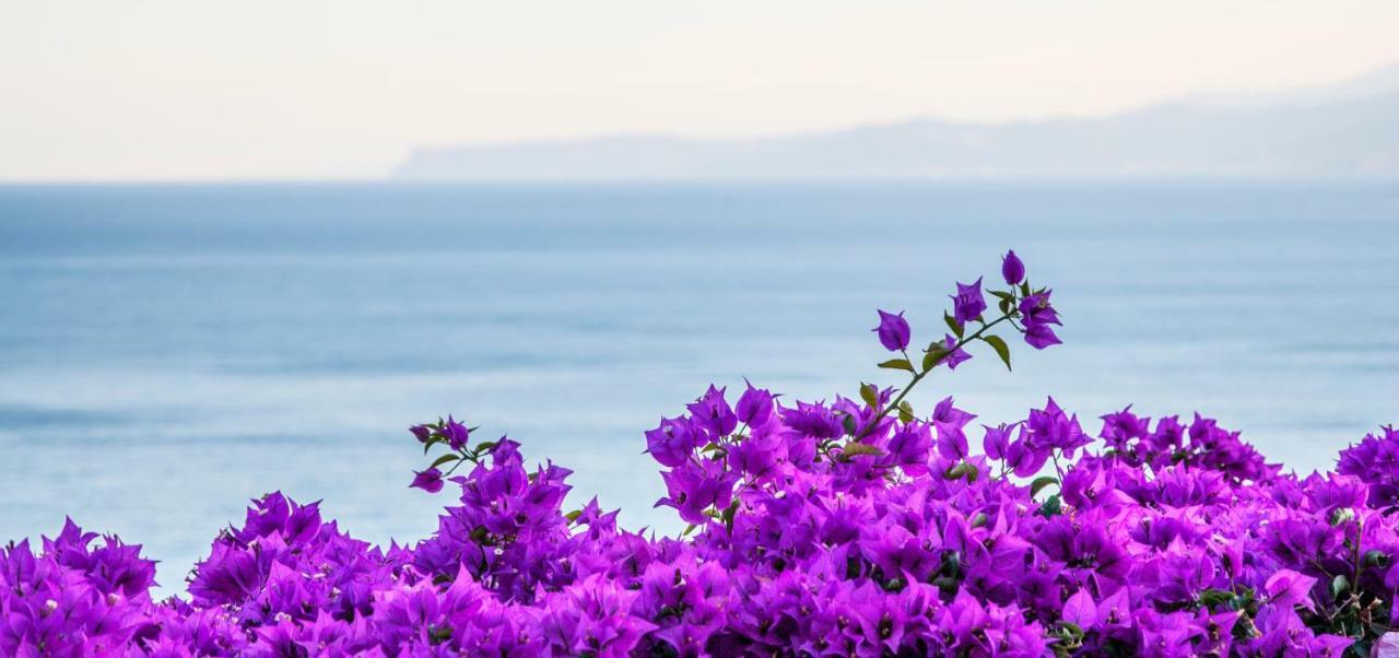 Villa Eliodora - Due Appartamenti Arenzano Bagian luar foto